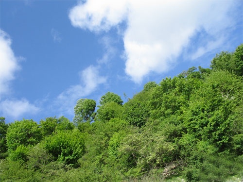 159133_804.jpg