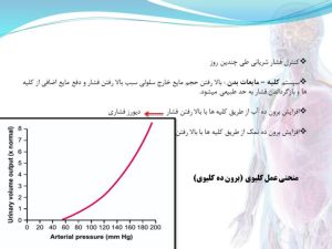 Slide19.JPG