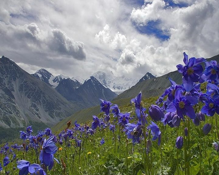 Altai_Mountains_Russia.jpg