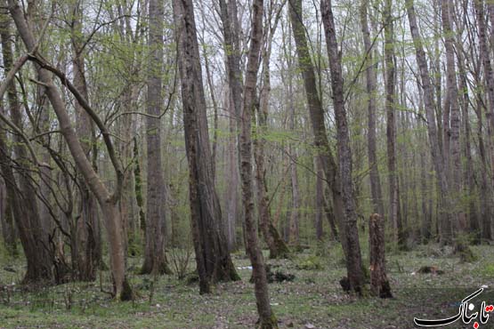 154348_209.jpg