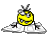 50.gif