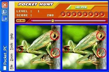 pockethunt02co0.jpg