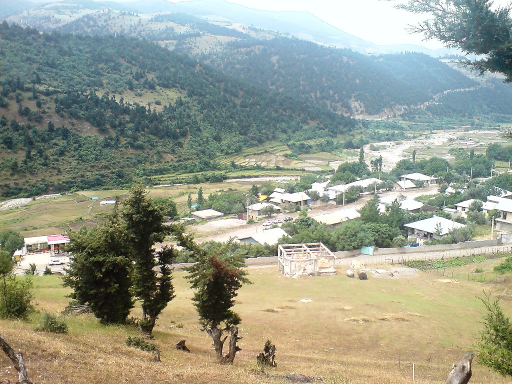 130.jpg