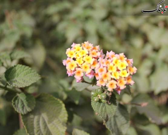 143274_196.jpg