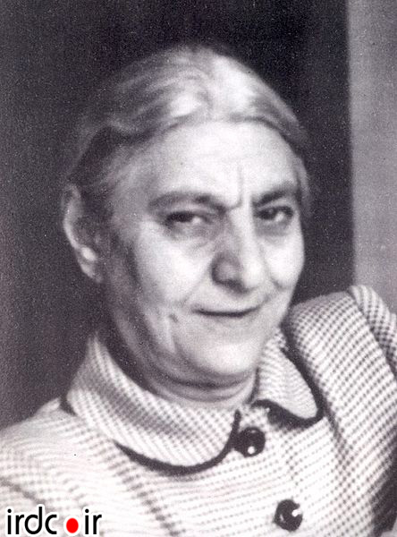 303893_740.jpg