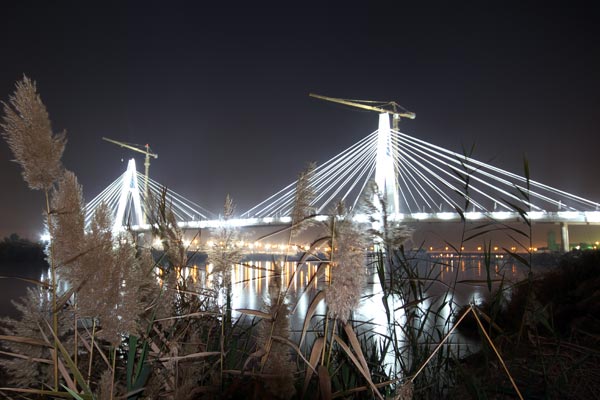 208612_584.jpg