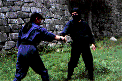 tay%20jotsu02.gif