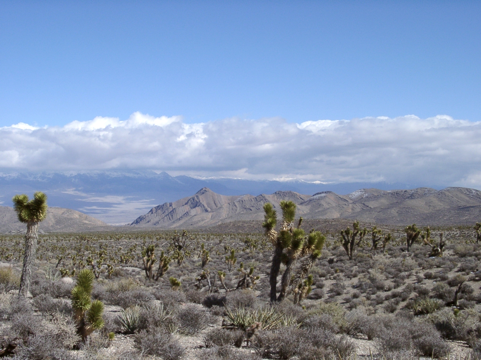 Lasvegasclimate.jpg