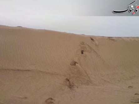 148811_444.jpg