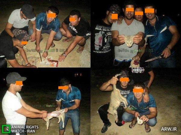 Animal-Rights-Watch-ARW-4942-600x450.jpg