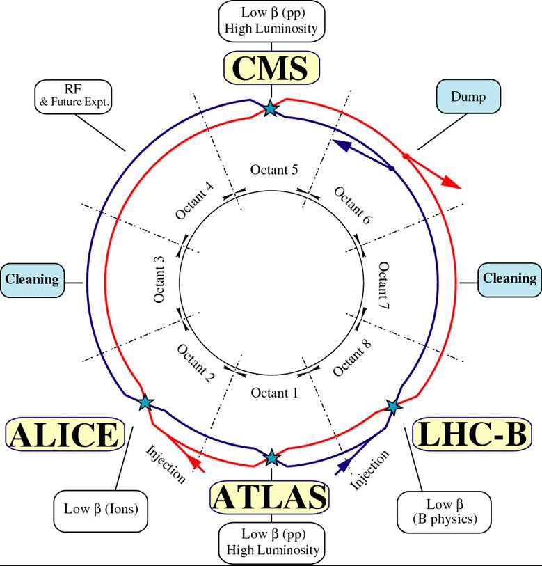 detalle-lhc.jpg