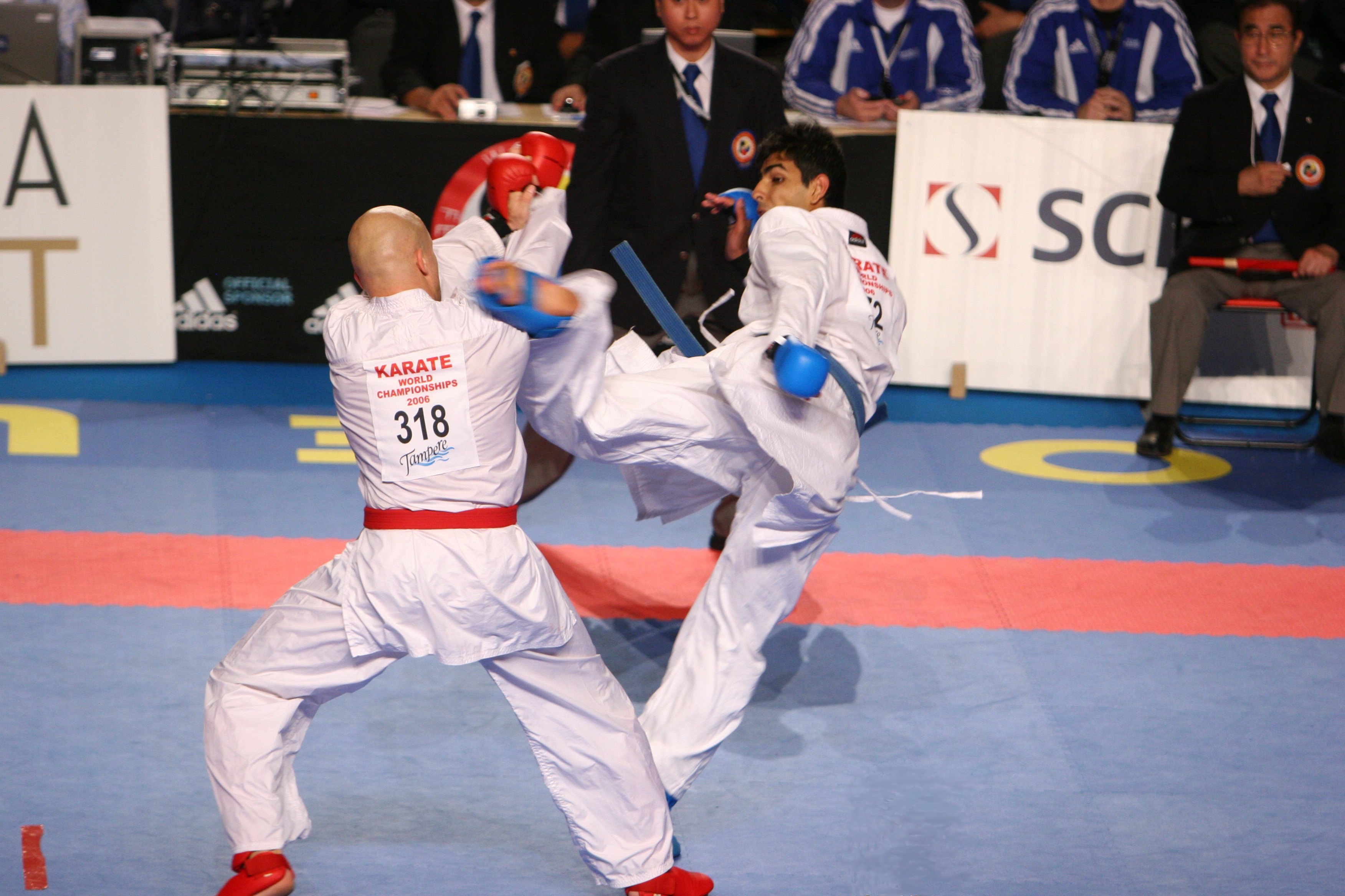 Karate_WC_Tampere_2006-1.jpg