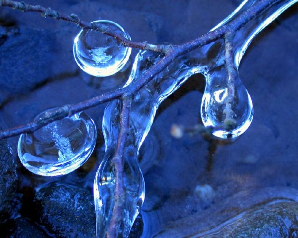 207928_759.jpg