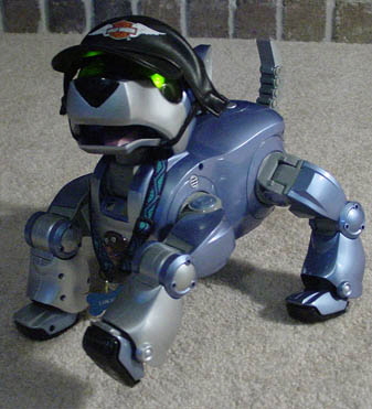 I-Cybie-A-lue.lokida4.jpg