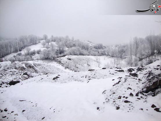 144336_376.jpg