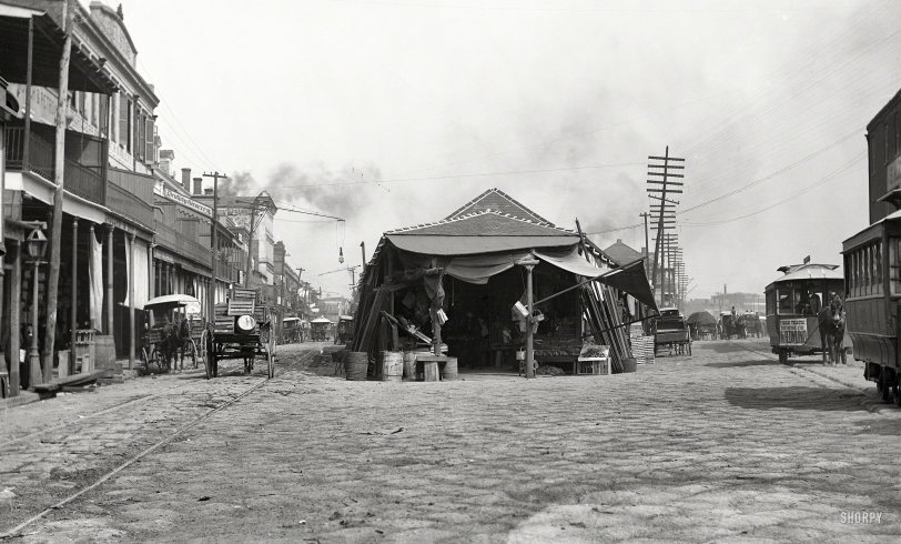 SHORPY_4a26986a.preview.jpg