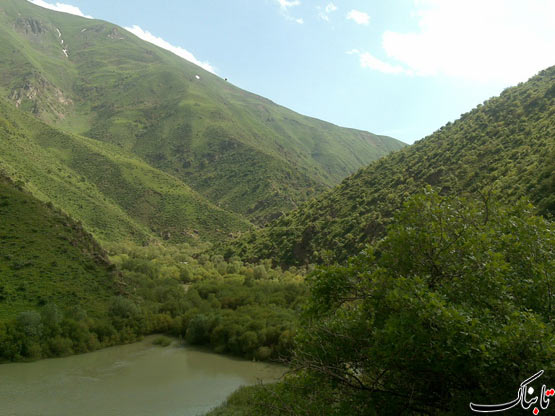142661_461.jpg