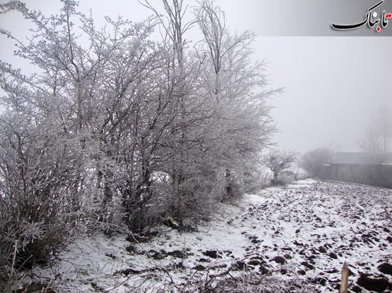 144346_186.jpg