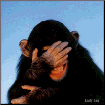 67632,xcitefun-image004.gif