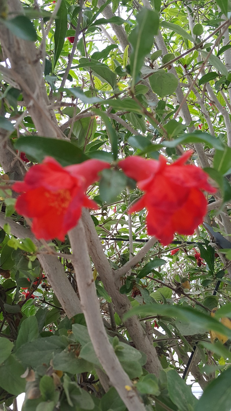 sfy7_02.jpg
