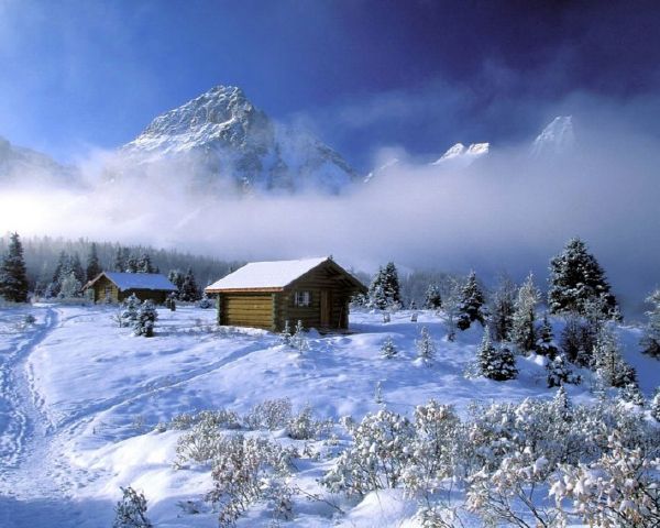 207927_247.jpg