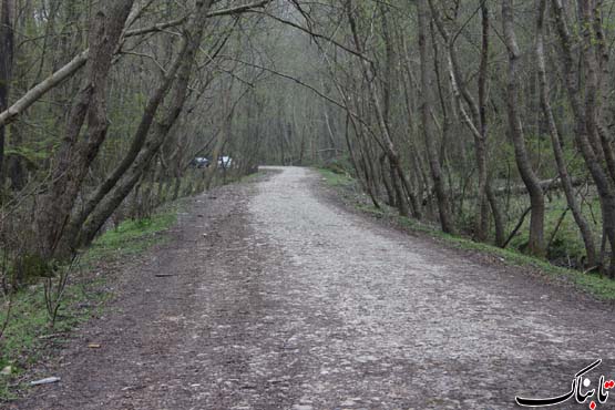154350_346.jpg