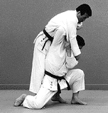 seoiotoshi4.gif