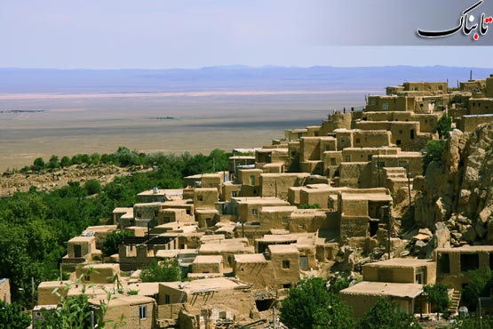 143558_602.jpg