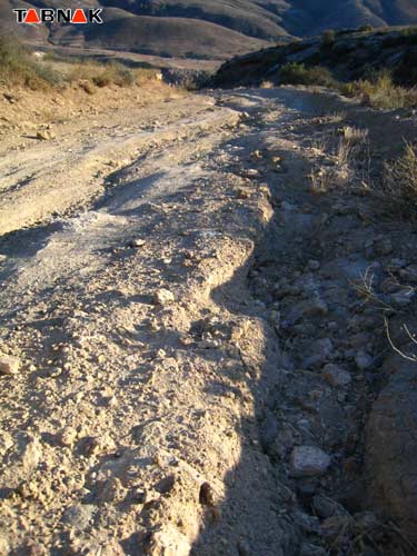 74144_194.jpg