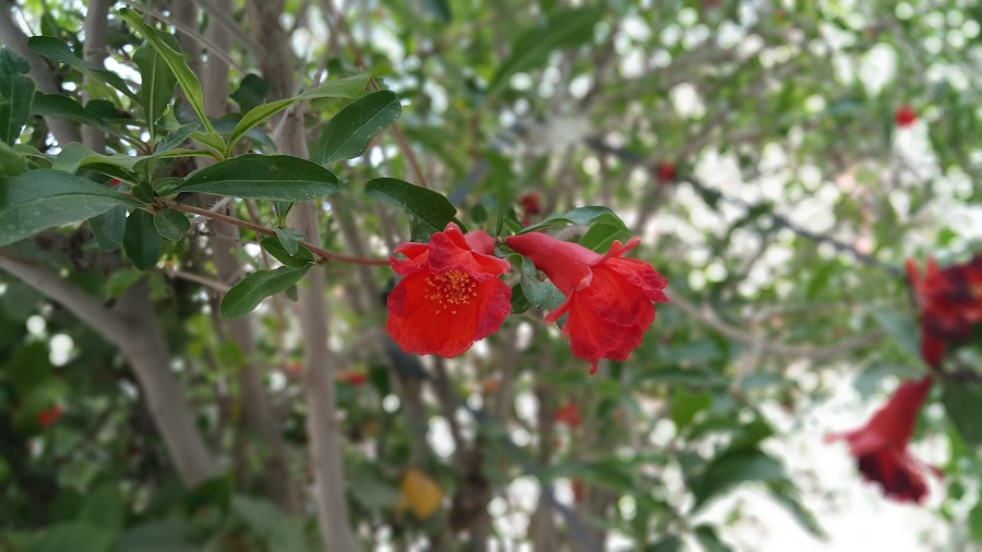 qq27_03.jpg