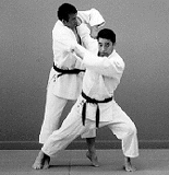 taiotoshi1.gif