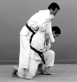 seoiotoshi1.gif