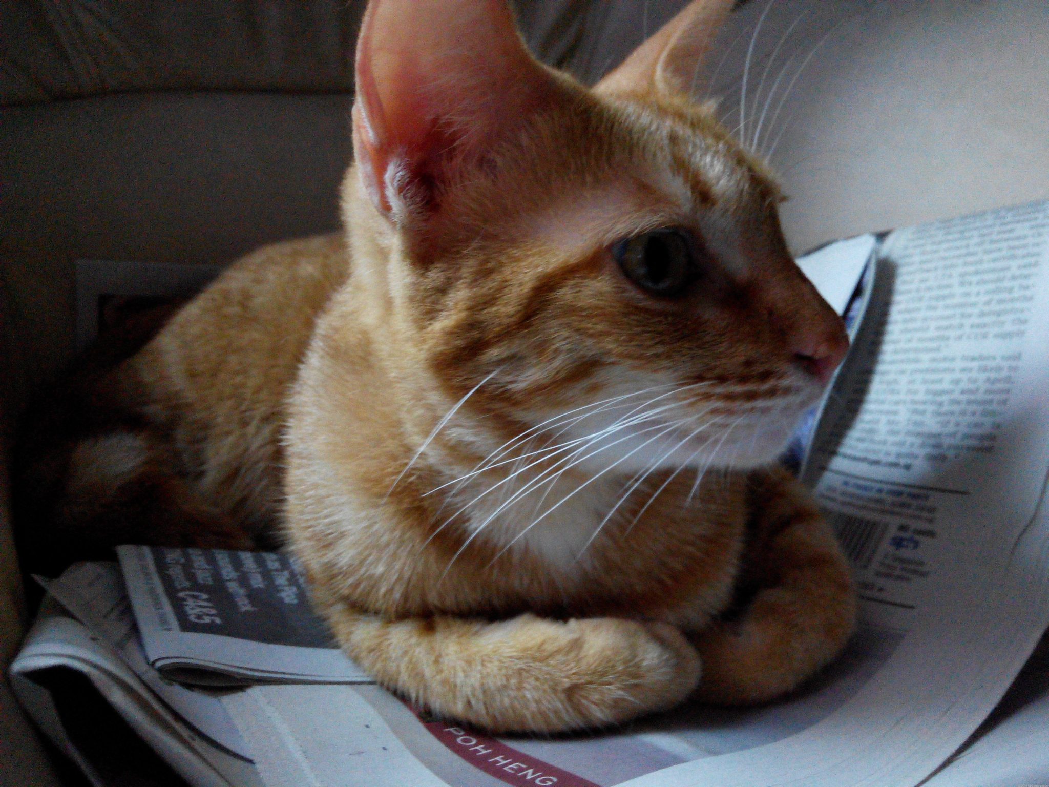 35835160-indoor.jpg