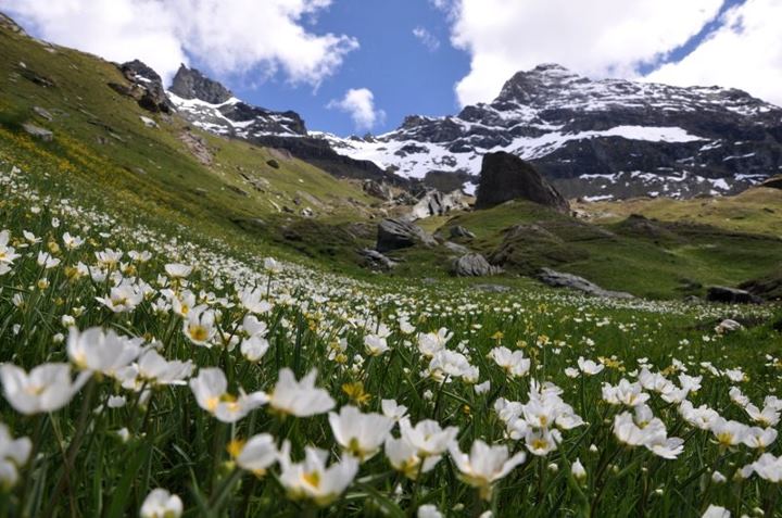 Aosta_Aoste_Italy.jpg
