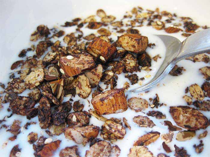 granola-chocolate-almond-honey-konjed-coconut04.jpg