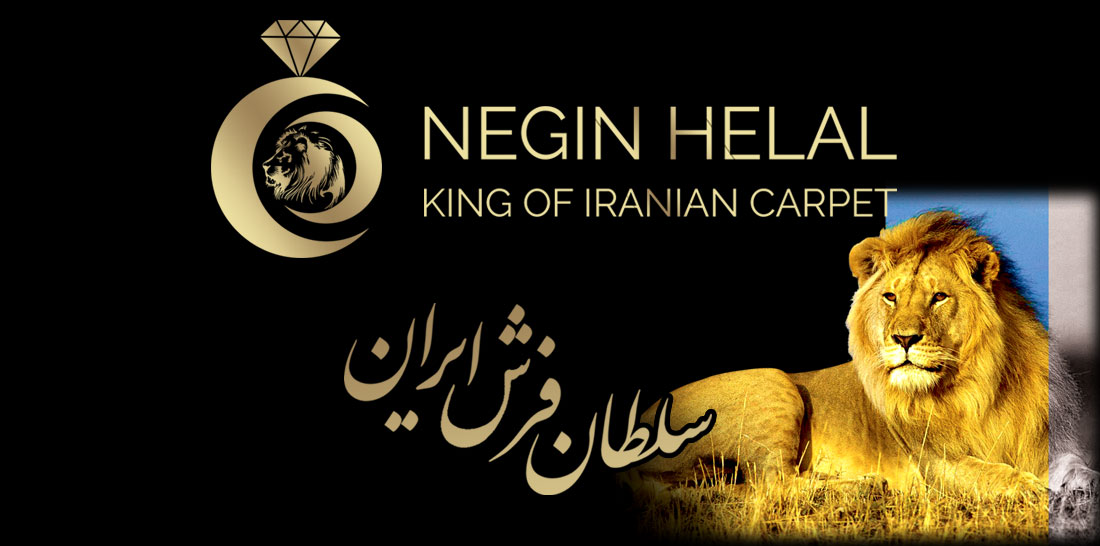 www.neginhelal.com