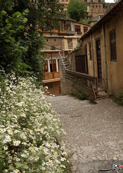 143571_385.jpg
