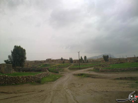 151185_965.jpg