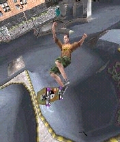 tonyhawk04.jpg
