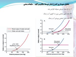 Slide20.JPG