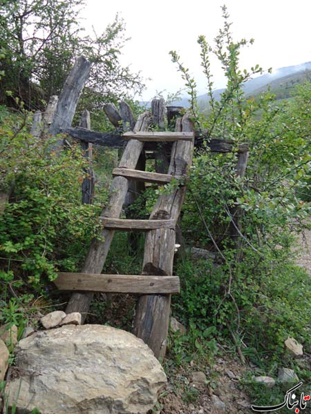 152599_272.jpg