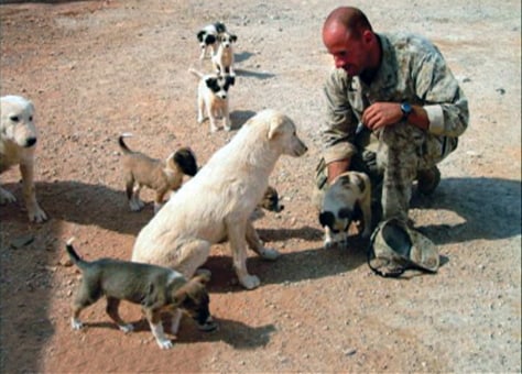 091102-marine-dogs1-730a.grid-6x2.jpg