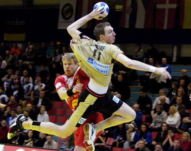 handball_wm_holger_glandorf_01.jpg