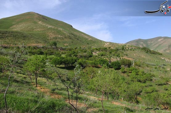 146669_710.jpg