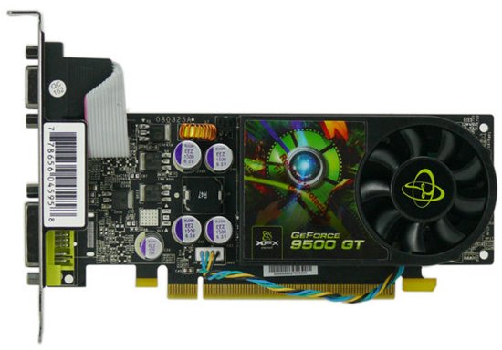 xfx_geforce_9500_gt_lp.jpg