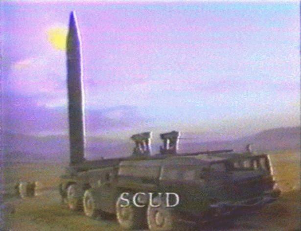309254_239.jpg