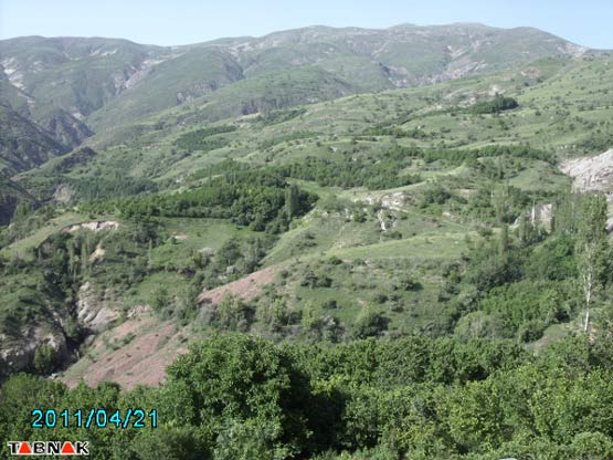 97490_801.jpg