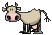 cow.gif