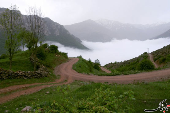 143566_897.jpg