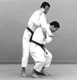 seoi5.gif